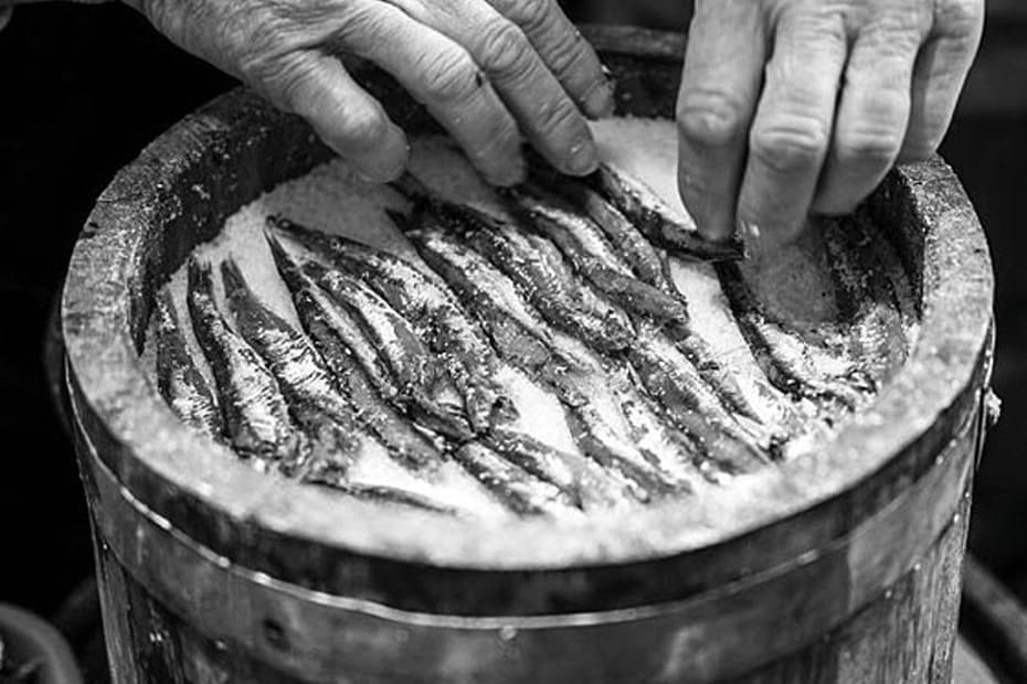 B&W photo showing a man's hands. carefully placing anchovies into a small wooden barrel filled with salt.