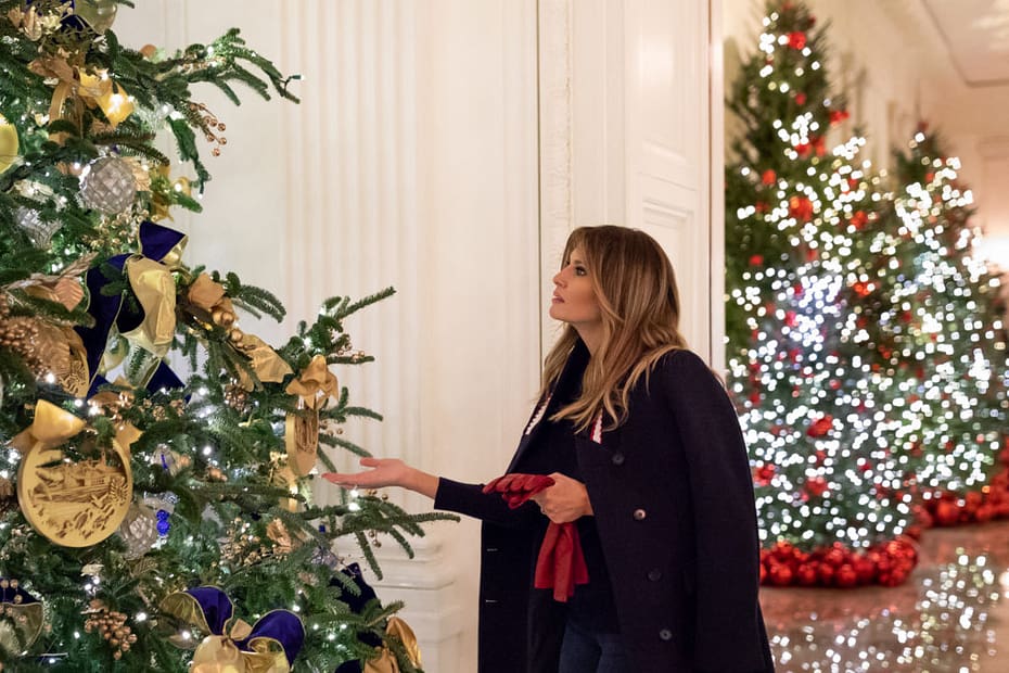 Fuck copyright with this one. It shows Melania Trump in front of a Christmas tree with decorations in the East Room of the White House. May they all rot in hell.