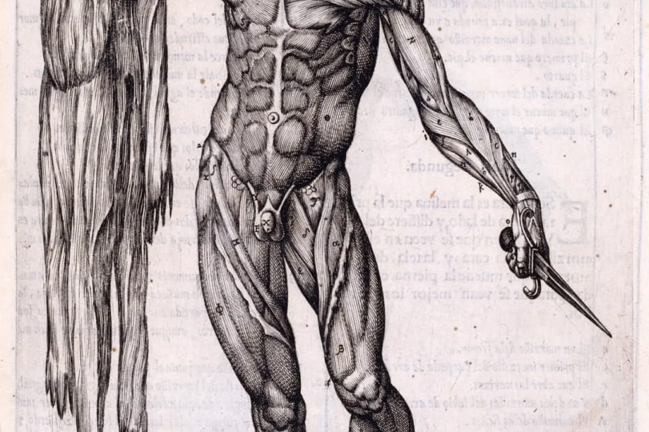 A B&W anatomy drawing showing a flayed man holding his own skin, 1556 Attributed to Gaspar Becerra (ca. 1520 - 1570)He holds the knife in his left hand and his flaccid skin droops from his raised right hand.