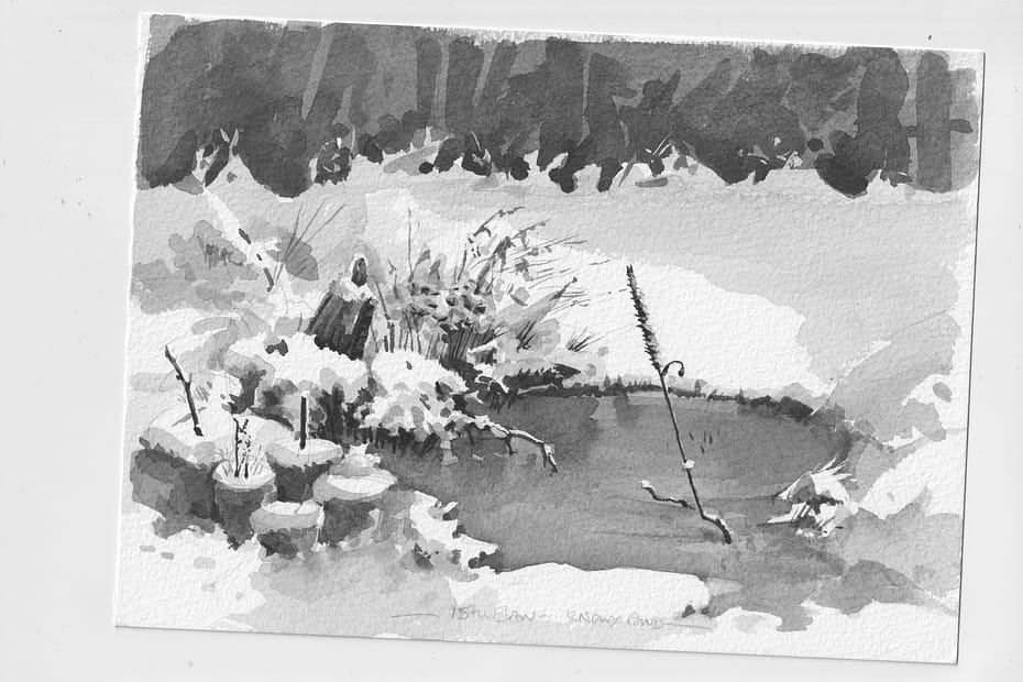 a B&W watercolour painting by Val Littlewood in 2013 from the back garden. A winter's scene, snow covered banks surrounding a dark pond. The odd branch and twig poke up from the snow and a small concrete frog model is visible sitting on a rock on the L/H side.